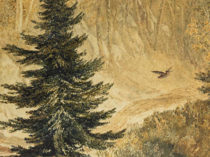 Detail of Woodcock Shooting, showing bird flying. Joseph Mallord William Turner, Woodcock Shooting on Otley Chevin, 1813 (P651).